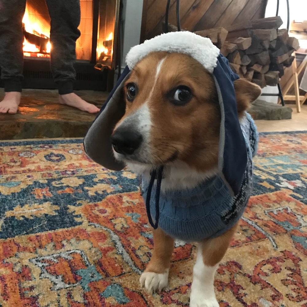 Meet your Posher, Jill